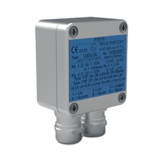VIEG Amplificatore di impulsi