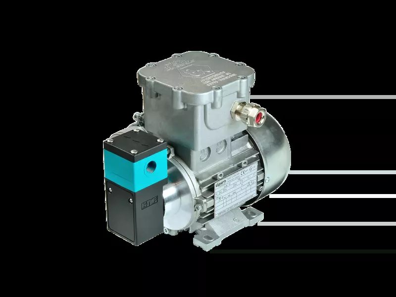 NF_1300 Ex_Pompa_membrana_Riels_Instruments